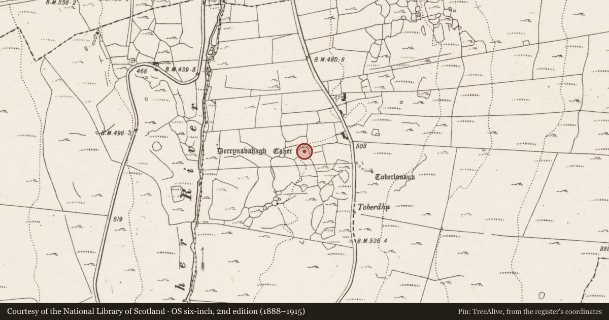 Ordnance Survey six-inch map, 2nd edition (1888–1915) covering the location of Ringfort - cashel, Derrynavahagh, County Clare, with a pin at the register's coordinates