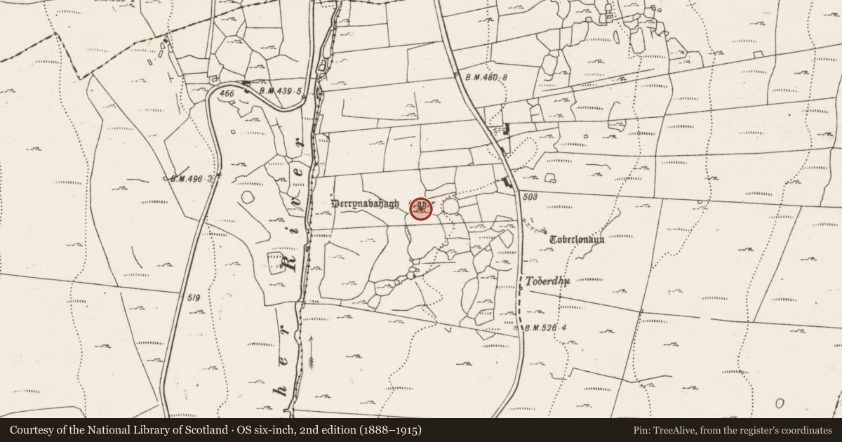 Ordnance Survey six-inch map, 2nd edition (1888–1915) covering the location of Enclosure, Derrynavahagh, County Clare, with a pin at the register's coordinates