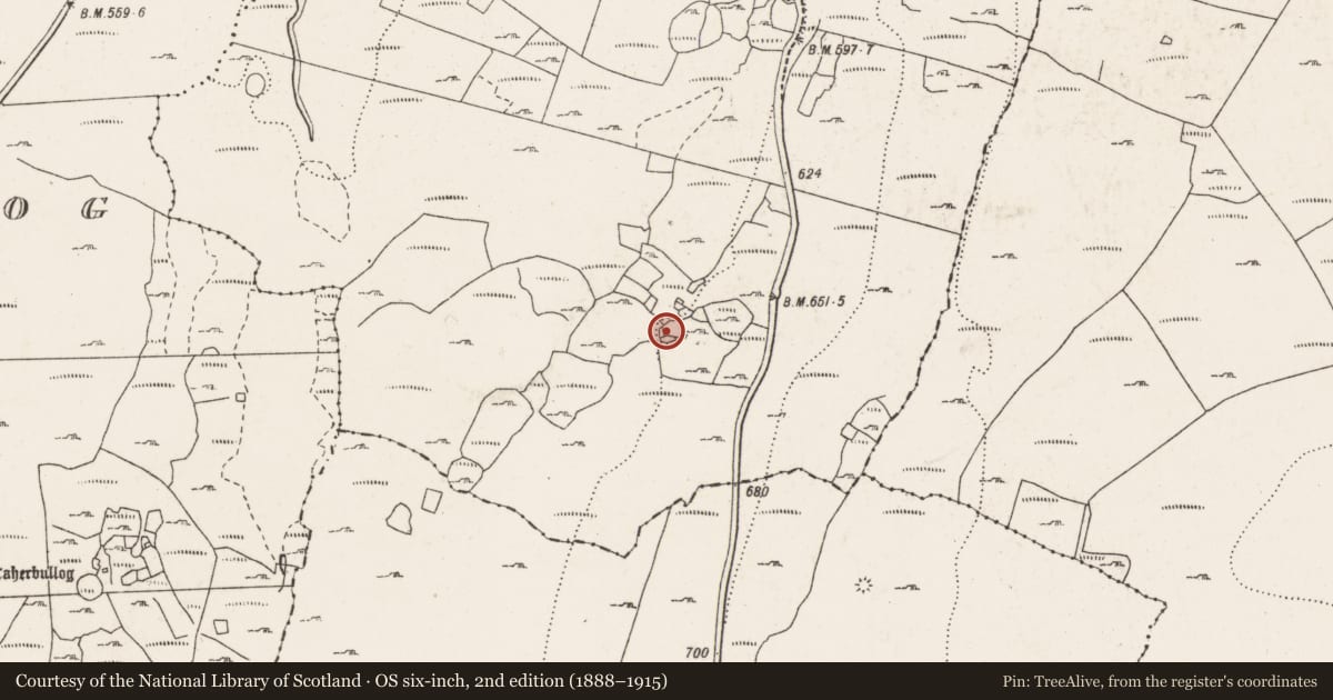 Ordnance Survey six-inch map, 2nd edition (1888–1915) covering the location of Ringfort - cashel, Derrynavahagh, County Clare, with a pin at the register's coordinates