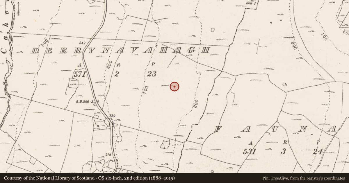 Ordnance Survey six-inch map, 2nd edition (1888–1915) covering the location of Megalithic tomb - wedge tomb, Derrynavahagh, County Clare, with a pin at the register's coordinates