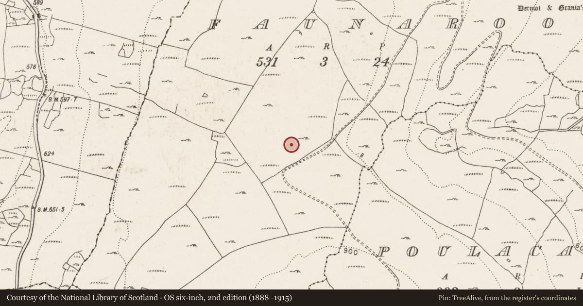 Ordnance Survey six-inch map, 2nd edition (1888–1915) covering the location of Megalithic tomb - wedge tomb, Faunarooska, County Clare, with a pin at the register's coordinates