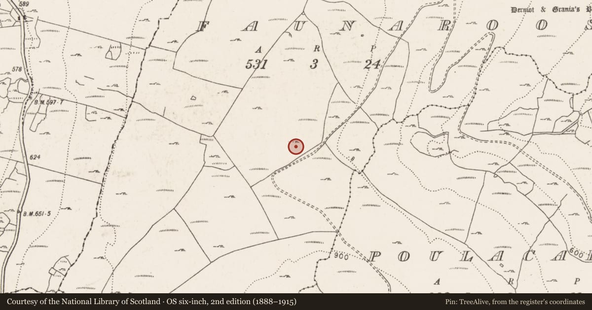 Ordnance Survey six-inch map, 2nd edition (1888–1915) covering the location of Megalithic tomb - wedge tomb, Faunarooska, County Clare, with a pin at the register's coordinates