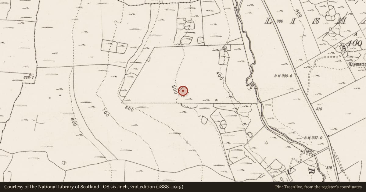 Ordnance Survey six-inch map, 2nd edition (1888–1915) covering the location of Ringfort - rath, Faunarooska, County Clare, with a pin at the register's coordinates