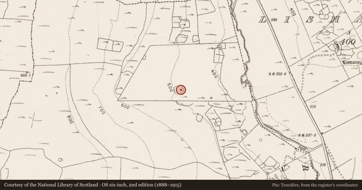 Ordnance Survey six-inch map, 2nd edition (1888–1915) covering the location of Hut site, Faunarooska, County Clare, with a pin at the register's coordinates
