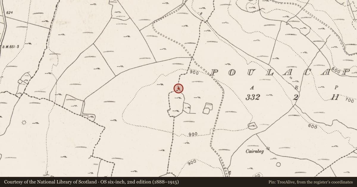 Ordnance Survey six-inch map, 2nd edition (1888–1915) covering the location of Cairn - unclassified, Faunarooska, Poulacapple, County Clare, with a pin at the register's coordinates