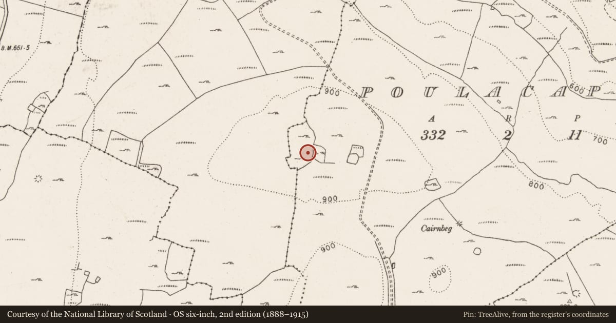 Ordnance Survey six-inch map, 2nd edition (1888–1915) covering the location of Hut site, Poulacapple, County Clare, with a pin at the register's coordinates