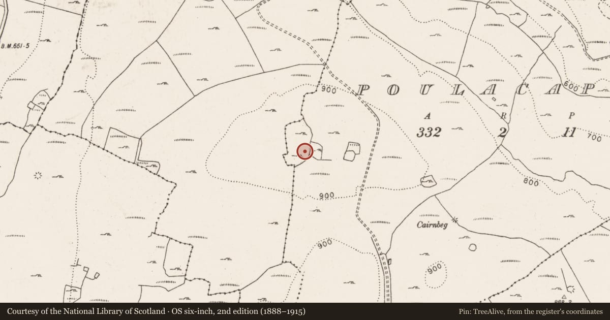 Ordnance Survey six-inch map, 2nd edition (1888–1915) covering the location of Hut site, Poulacapple, County Clare, with a pin at the register's coordinates