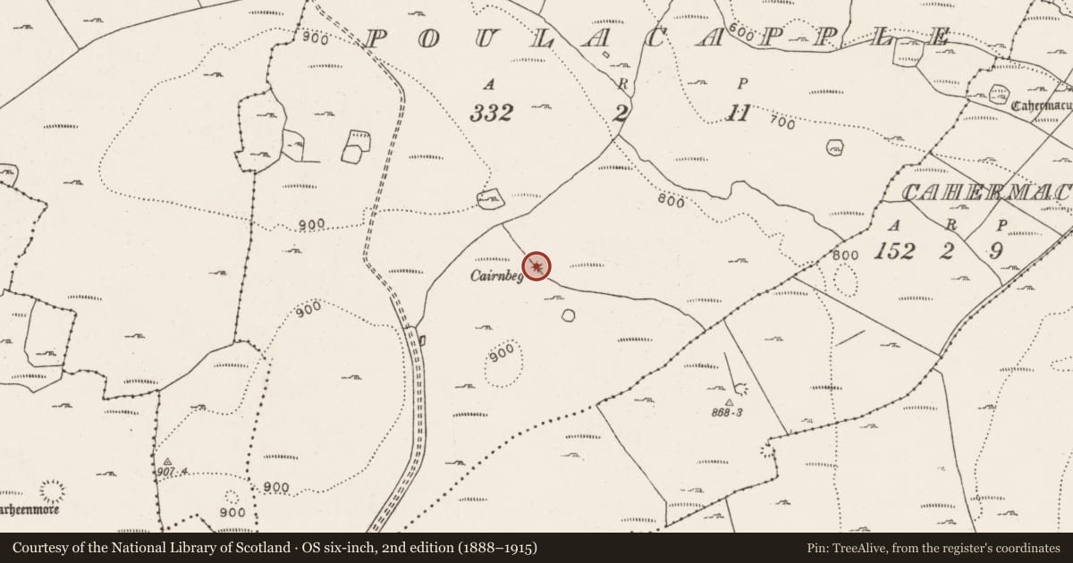 Ordnance Survey six-inch map, 2nd edition (1888–1915) covering the location of Cairn - unclassified, Poulacapple, County Clare, with a pin at the register's coordinates