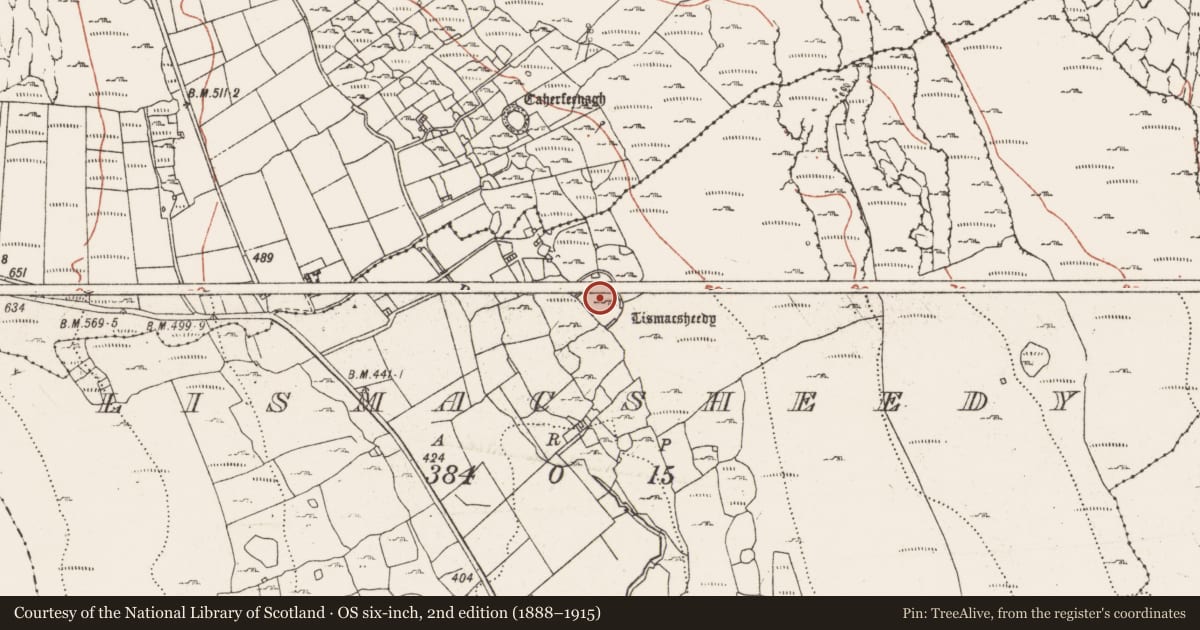 Ordnance Survey six-inch map, 2nd edition (1888–1915) covering the location of Cliff-edge fort, Lismacsheedy, County Clare, with a pin at the register's coordinates