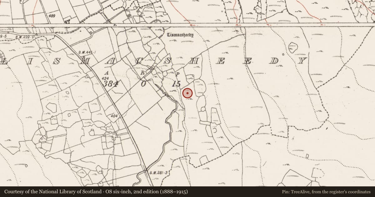 Ordnance Survey six-inch map, 2nd edition (1888–1915) covering the location of Enclosure, Lismacsheedy, County Clare, with a pin at the register's coordinates