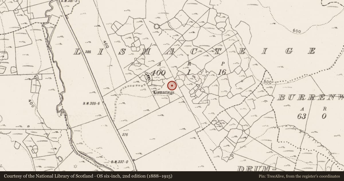 Ordnance Survey six-inch map, 2nd edition (1888–1915) covering the location of Ringfort - rath, Lismacteige, County Clare, with a pin at the register's coordinates