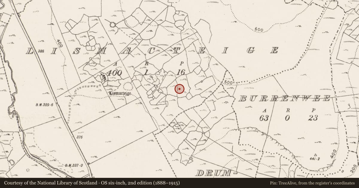 Ordnance Survey six-inch map, 2nd edition (1888–1915) covering the location of Fulacht fia, Lismacteige, County Clare, with a pin at the register's coordinates