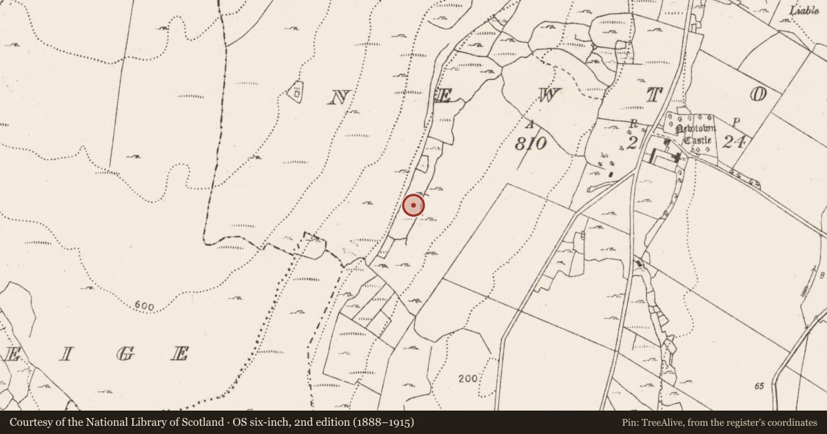 Ordnance Survey six-inch map, 2nd edition (1888–1915) covering the location of Fulacht fia, Newtown, County Clare, with a pin at the register's coordinates