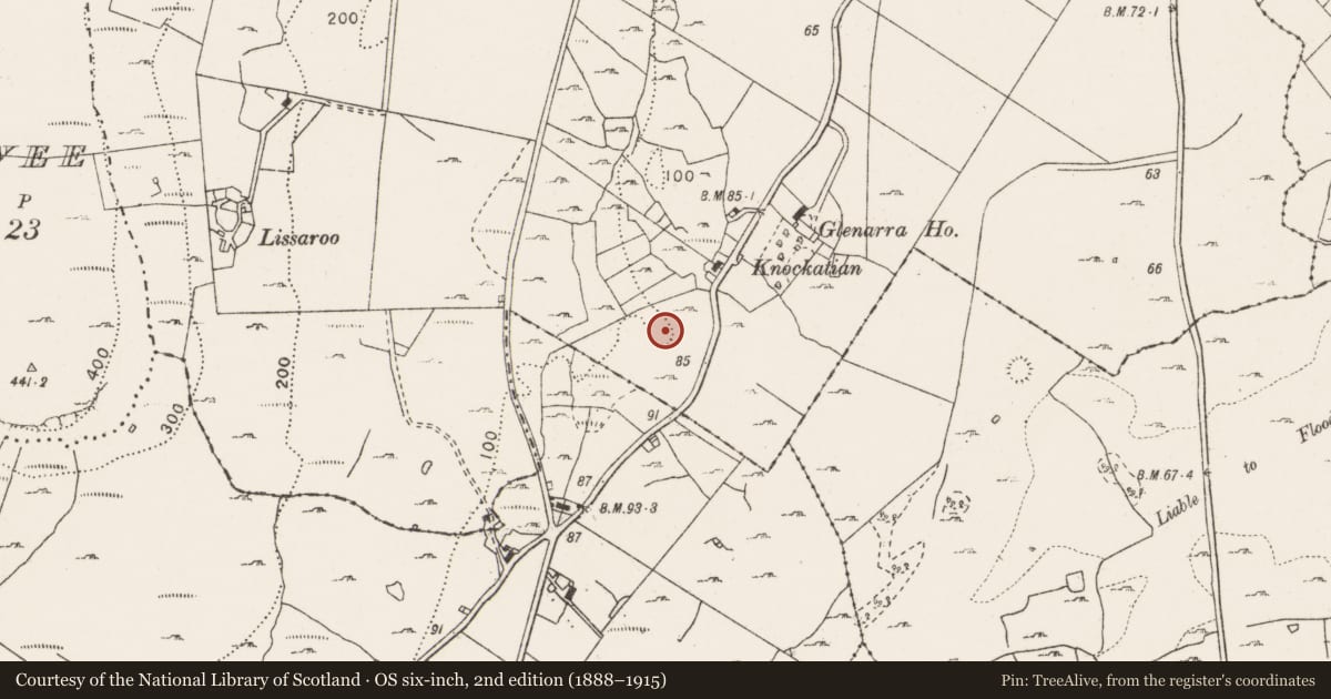 Ordnance Survey six-inch map, 2nd edition (1888–1915) covering the location of Enclosure, Newtown, County Clare, with a pin at the register's coordinates