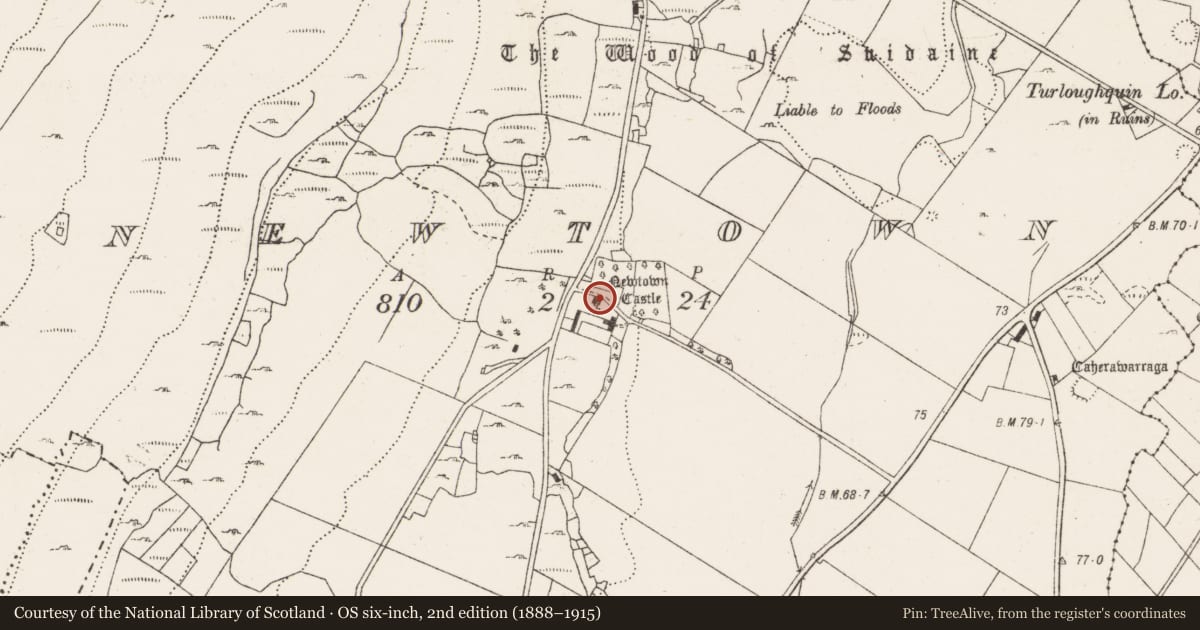 Ordnance Survey six-inch map, 2nd edition (1888–1915) covering the location of Castle - tower house, Newtown, County Clare, with a pin at the register's coordinates