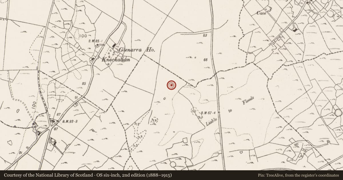 Ordnance Survey six-inch map, 2nd edition (1888–1915) covering the location of Ringfort - rath, Ballyallaban, County Clare, with a pin at the register's coordinates