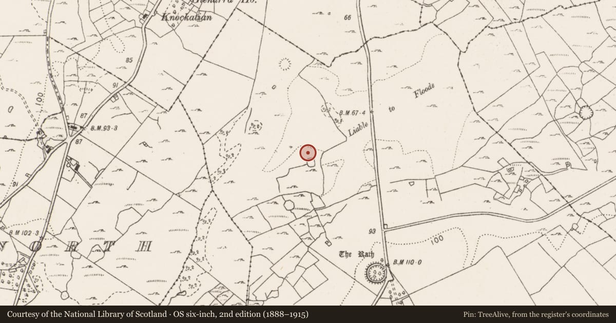 Ordnance Survey six-inch map, 2nd edition (1888–1915) covering the location of Ringfort - cashel, Ballyallaban, County Clare, with a pin at the register's coordinates