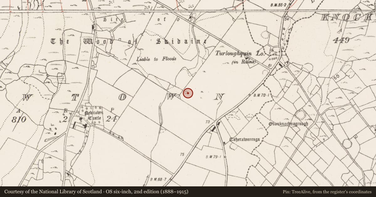 Ordnance Survey six-inch map, 2nd edition (1888–1915) covering the location of Enclosure, Newtown, County Clare, with a pin at the register's coordinates