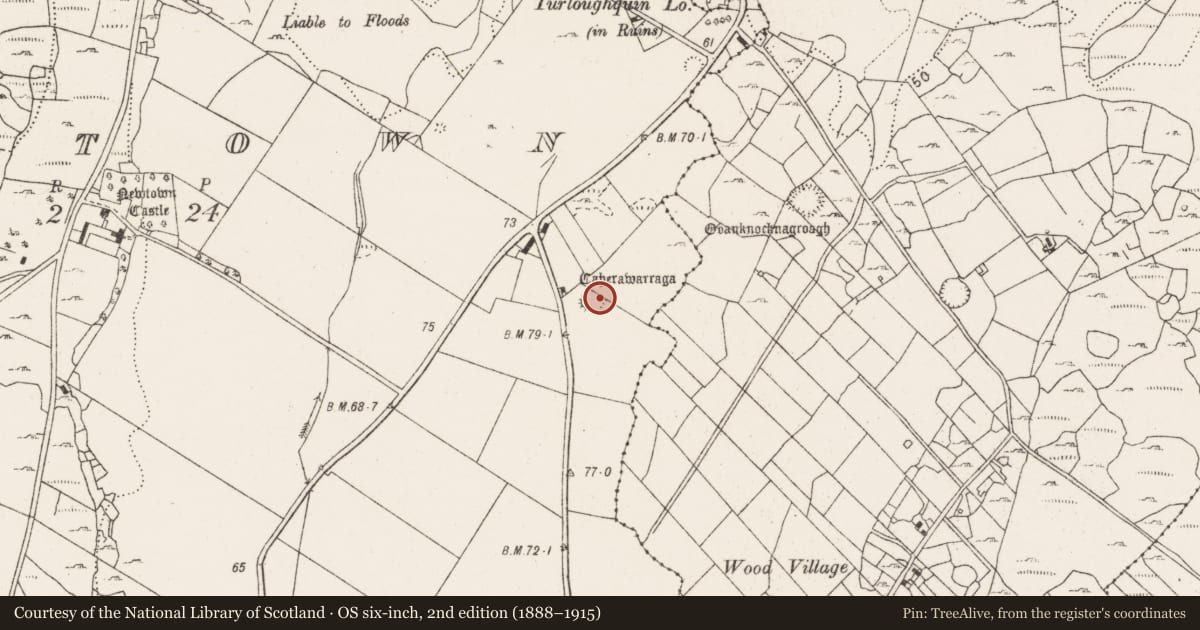 Ordnance Survey six-inch map, 2nd edition (1888–1915) covering the location of Ringfort - cashel, Newtown, County Clare, with a pin at the register's coordinates