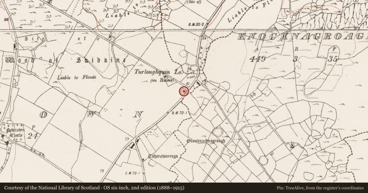 Ordnance Survey six-inch map, 2nd edition (1888–1915) covering the location of Ringfort - rath, Newtown, County Clare, with a pin at the register's coordinates