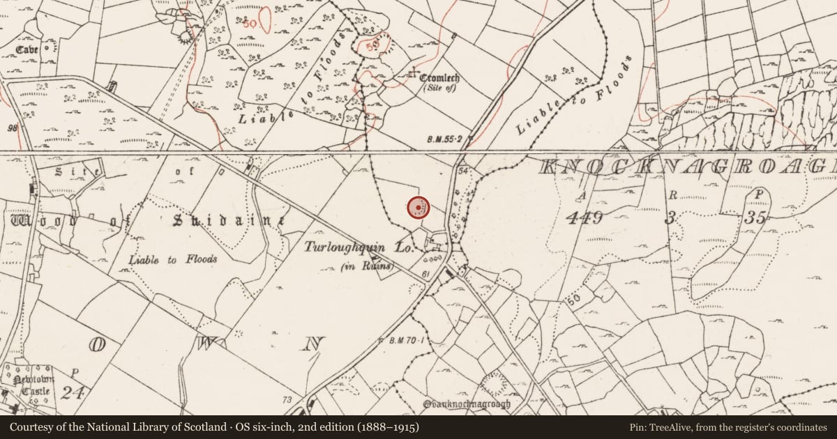 Ordnance Survey six-inch map, 2nd edition (1888–1915) covering the location of Ringfort - rath, Ballyvaghan, County Clare, with a pin at the register's coordinates