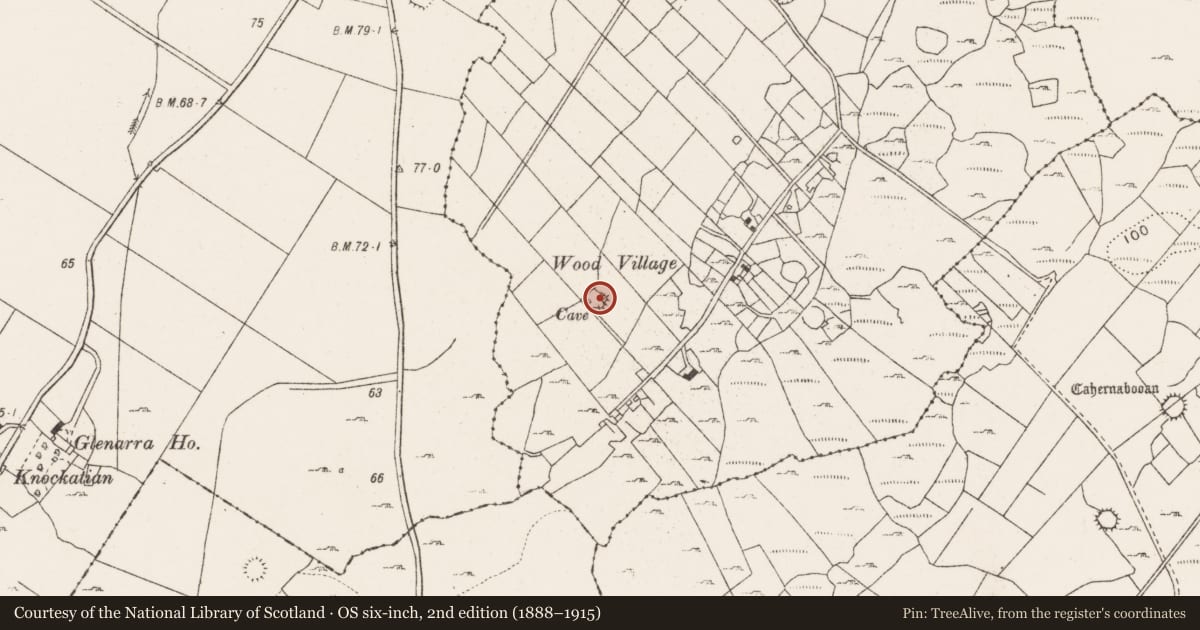 Ordnance Survey six-inch map, 2nd edition (1888–1915) covering the location of Ringfort - rath, Knocknagroagh, County Clare, with a pin at the register's coordinates