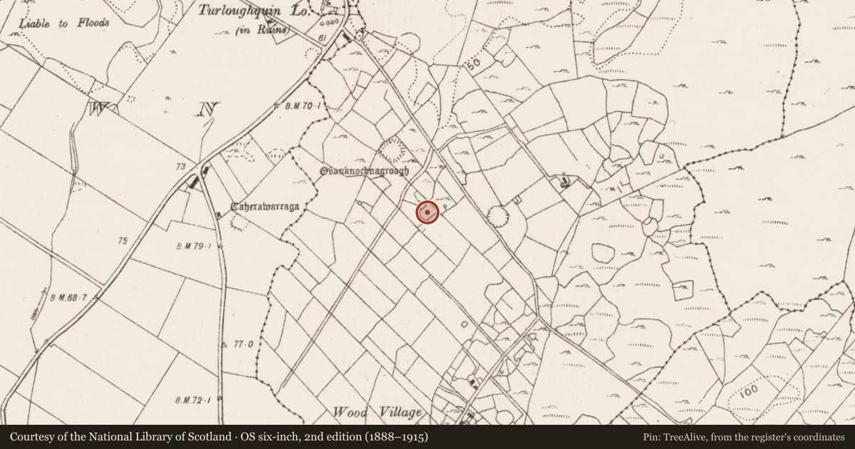 Ordnance Survey six-inch map, 2nd edition (1888–1915) covering the location of Enclosure, Knocknagroagh, County Clare, with a pin at the register's coordinates