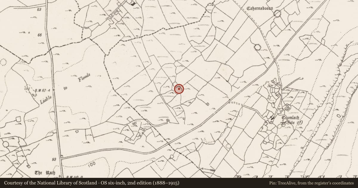Ordnance Survey six-inch map, 2nd edition (1888–1915) covering the location of Ringfort - cashel, Ballycahill, County Clare, with a pin at the register's coordinates