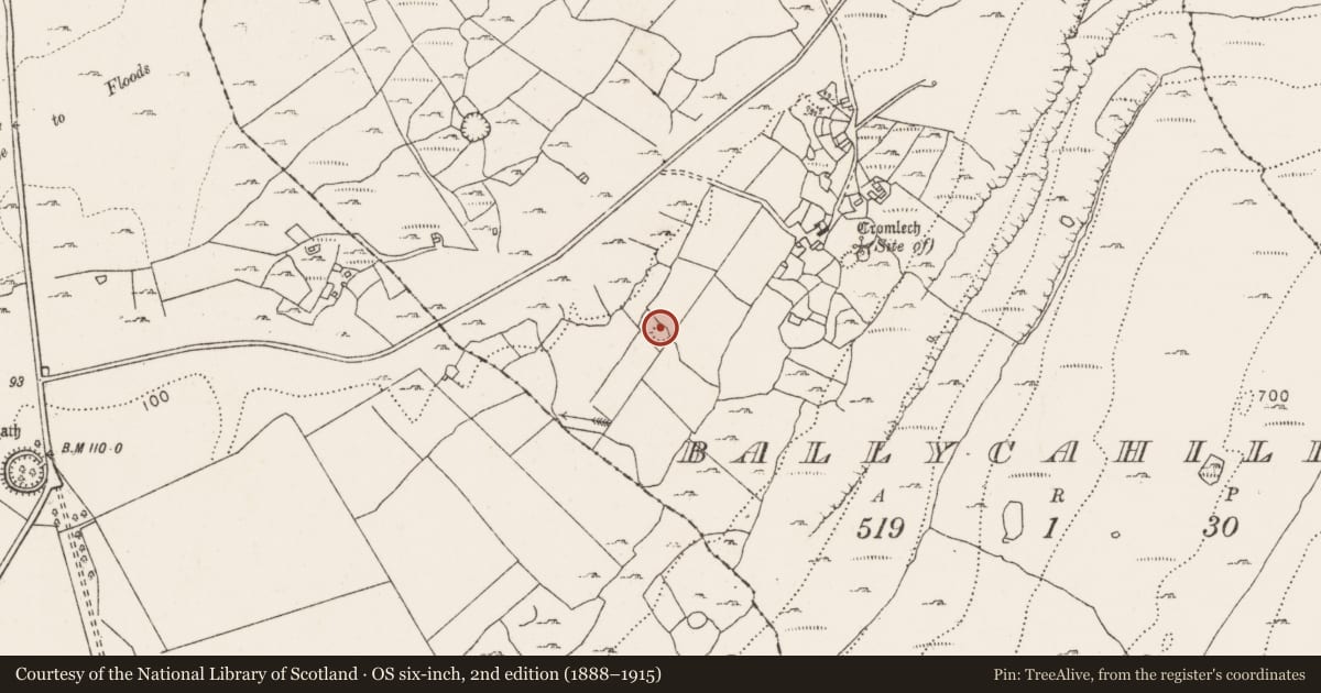 Ordnance Survey six-inch map, 2nd edition (1888–1915) covering the location of Ringfort - cashel, Ballycahill, County Clare, with a pin at the register's coordinates
