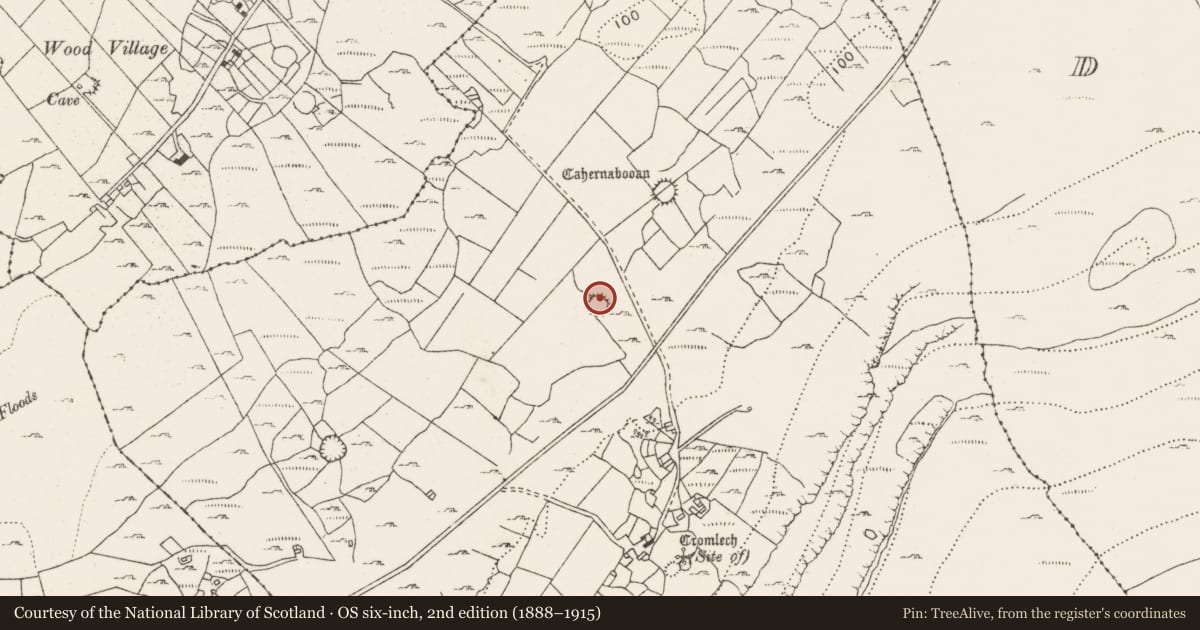 Ordnance Survey six-inch map, 2nd edition (1888–1915) covering the location of Ringfort - cashel, Ballycahill, County Clare, with a pin at the register's coordinates