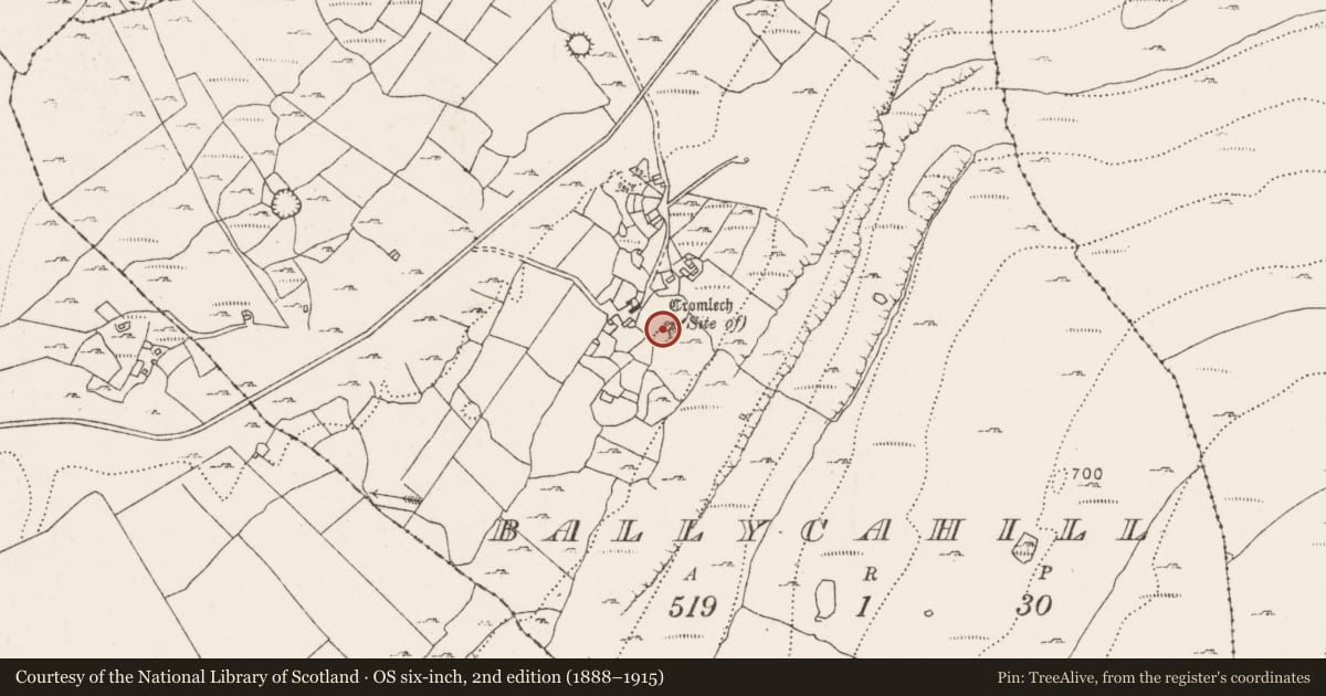 Ordnance Survey six-inch map, 2nd edition (1888–1915) covering the location of Enclosure, Ballycahill, County Clare, with a pin at the register's coordinates