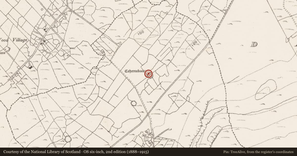 Ordnance Survey six-inch map, 2nd edition (1888–1915) covering the location of Souterrain, Ballycahill, County Clare, with a pin at the register's coordinates