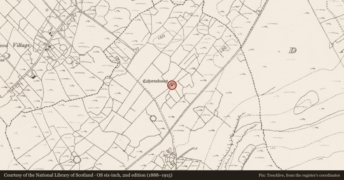 Ordnance Survey six-inch map, 2nd edition (1888–1915) covering the location of House - indeterminate date, Ballycahill, County Clare, with a pin at the register's coordinates