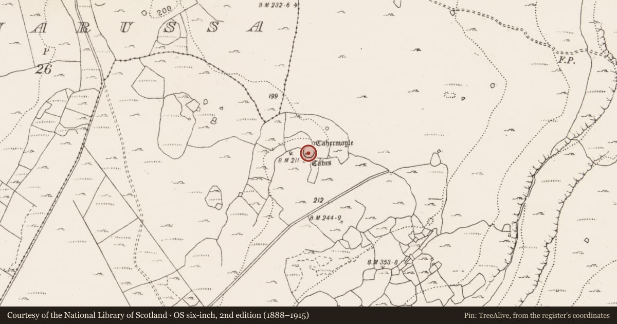 Ordnance Survey six-inch map, 2nd edition (1888–1915) covering the location of Souterrain, Dangan, County Clare, with a pin at the register's coordinates