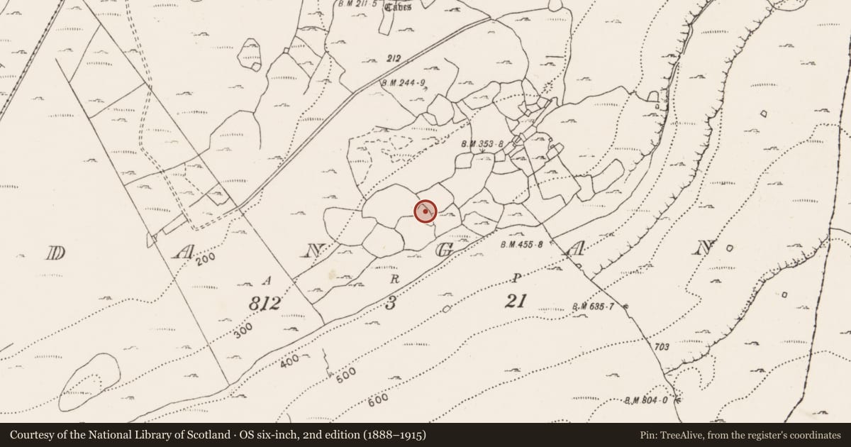 Ordnance Survey six-inch map, 2nd edition (1888–1915) covering the location of Enclosure, Dangan, County Clare, with a pin at the register's coordinates