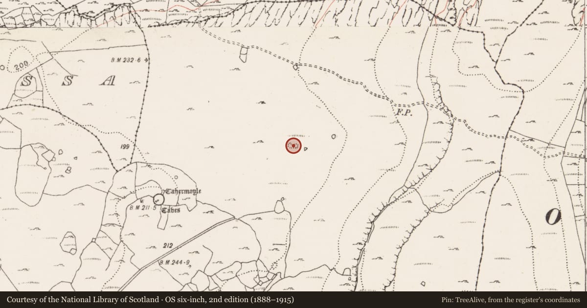 Ordnance Survey six-inch map, 2nd edition (1888–1915) covering the location of Fulacht fia, Dangan, County Clare, with a pin at the register's coordinates