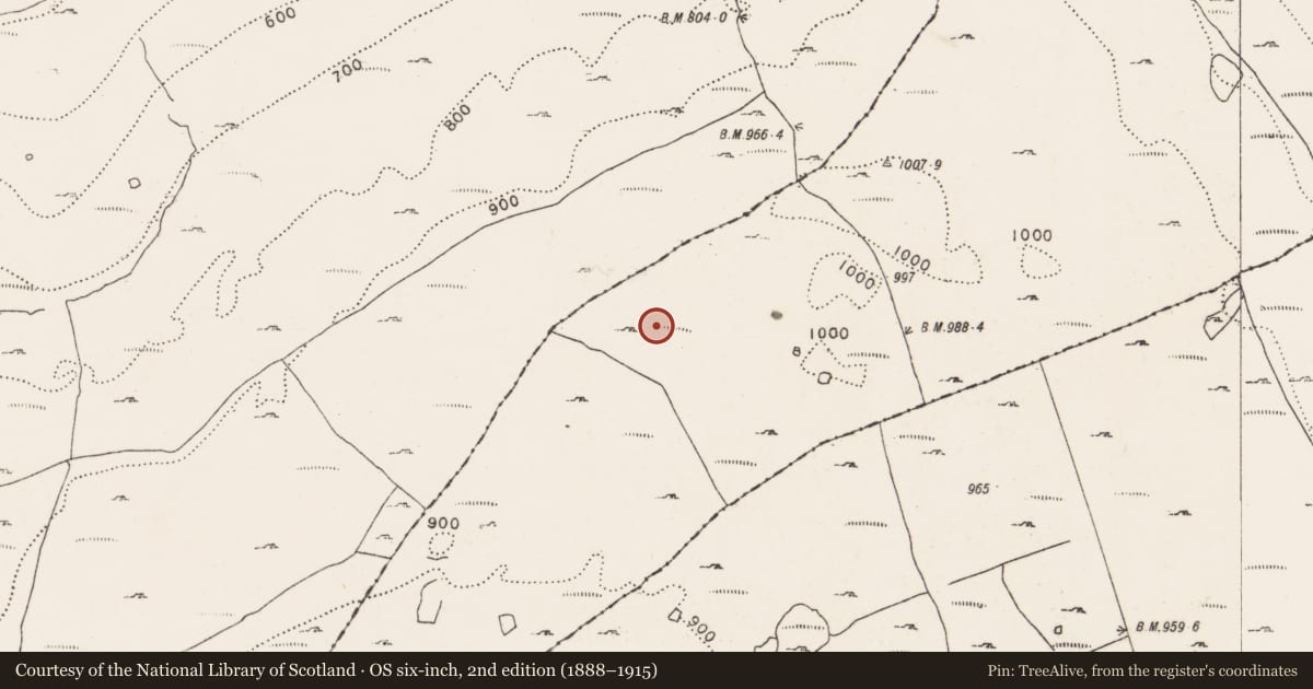 Ordnance Survey six-inch map, 2nd edition (1888–1915) covering the location of Enclosure, Kilweelran, County Clare, with a pin at the register's coordinates