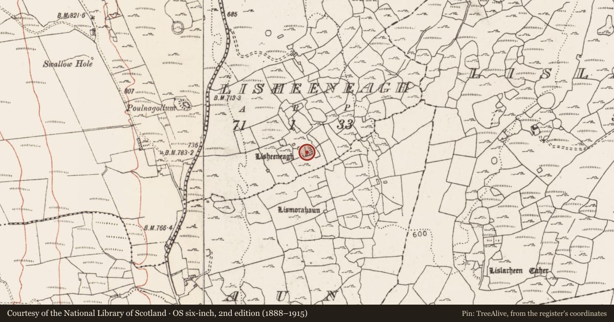 Ordnance Survey six-inch map, 2nd edition (1888–1915) covering the location of Ringfort - cashel, Lisheeneagh, County Clare, with a pin at the register's coordinates