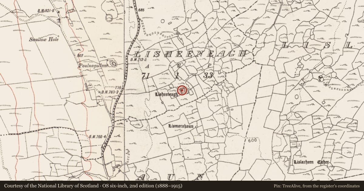 Ordnance Survey six-inch map, 2nd edition (1888–1915) covering the location of House - medieval, Lisheeneagh, County Clare, with a pin at the register's coordinates
