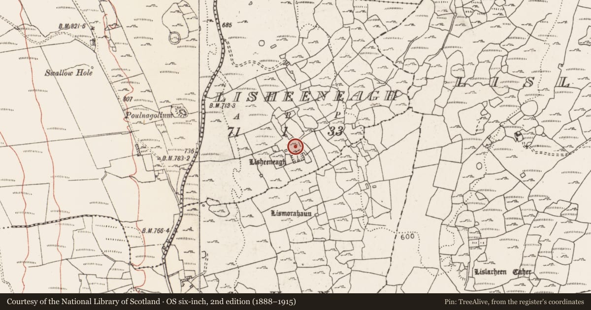 Ordnance Survey six-inch map, 2nd edition (1888–1915) covering the location of House - medieval, Lisheeneagh, County Clare, with a pin at the register's coordinates