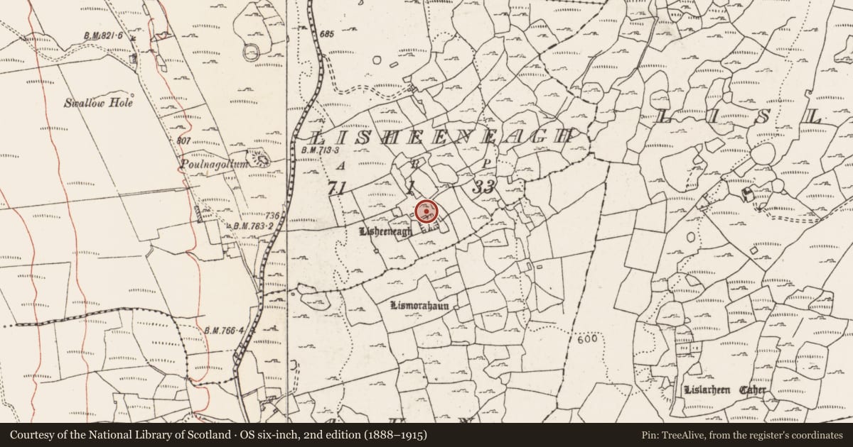 Ordnance Survey six-inch map, 2nd edition (1888–1915) covering the location of Architectural fragment, Lisheeneagh, County Clare, with a pin at the register's coordinates