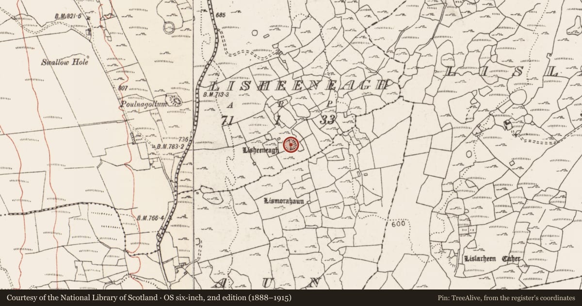 Ordnance Survey six-inch map, 2nd edition (1888–1915) covering the location of Enclosure, Lisheeneagh, County Clare, with a pin at the register's coordinates