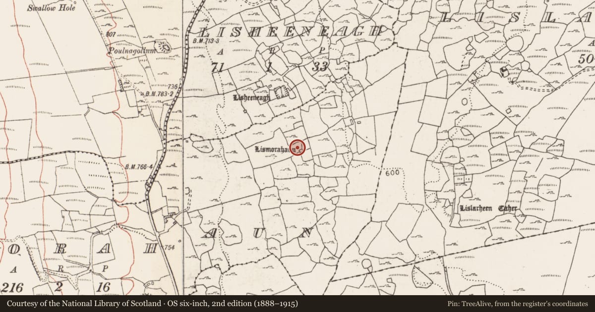 Ordnance Survey six-inch map, 2nd edition (1888–1915) covering the location of Ringfort - cashel, Lismorahaun, County Clare, with a pin at the register's coordinates
