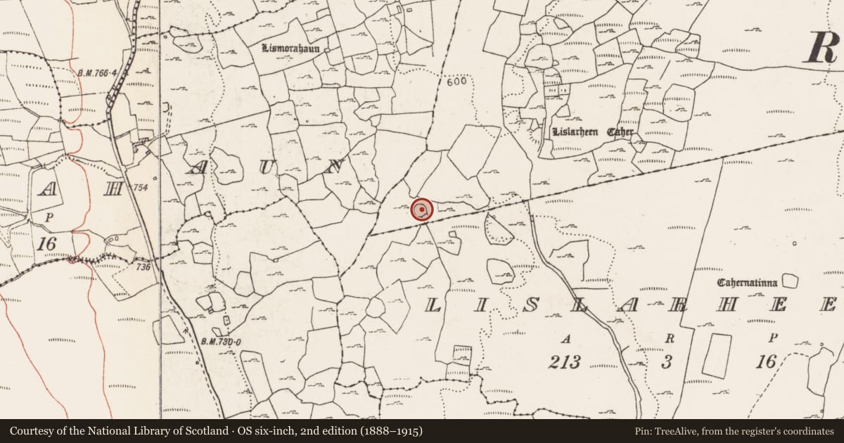 Ordnance Survey six-inch map, 2nd edition (1888–1915) covering the location of Ringfort - cashel, Lislarheenmore, County Clare, with a pin at the register's coordinates