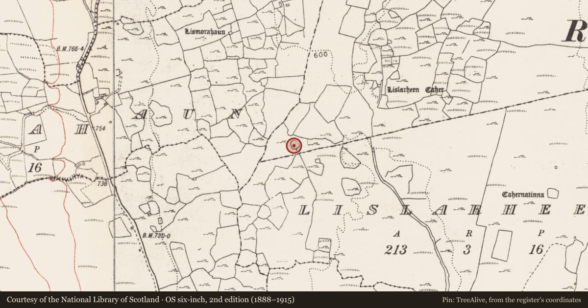 Ordnance Survey six-inch map, 2nd edition (1888–1915) covering the location of Building, Lislarheenmore, County Clare, with a pin at the register's coordinates