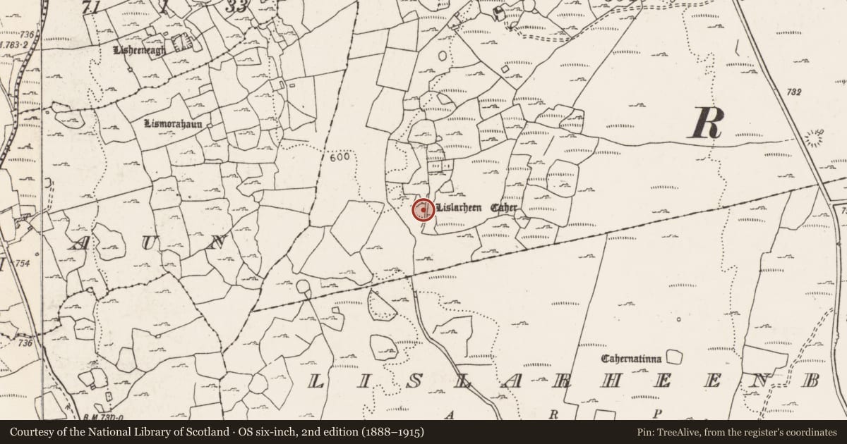 Ordnance Survey six-inch map, 2nd edition (1888–1915) covering the location of Ringfort - cashel, Lislarheenmore, County Clare, with a pin at the register's coordinates