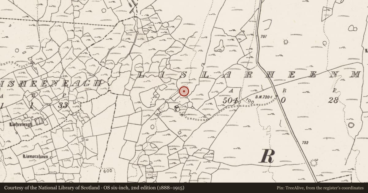 Ordnance Survey six-inch map, 2nd edition (1888–1915) covering the location of House - indeterminate date, Lislarheenmore, County Clare, with a pin at the register's coordinates