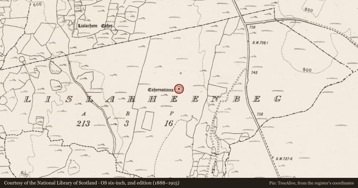 Ordnance Survey six-inch map, 2nd edition (1888–1915) covering the location of Ringfort - cashel, Lislarheenbeg, County Clare, with a pin at the register's coordinates