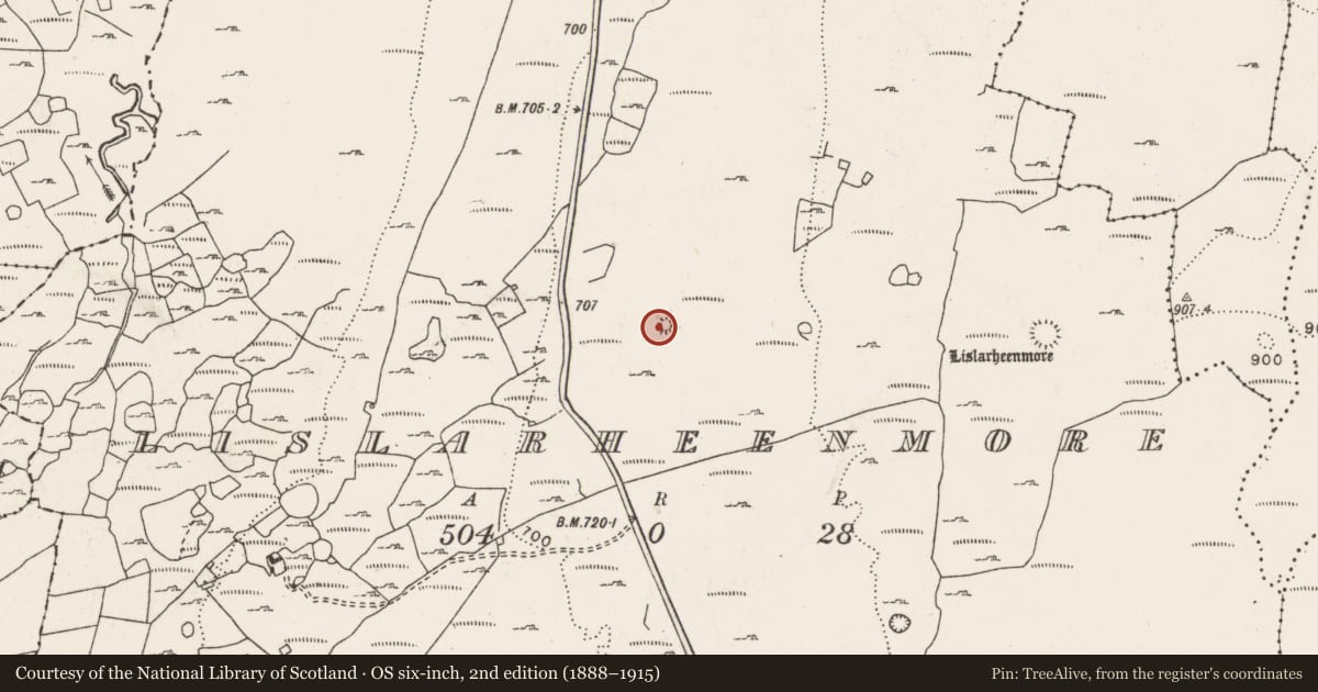 Ordnance Survey six-inch map, 2nd edition (1888–1915) covering the location of Ringfort - cashel, Lislarheenmore, County Clare, with a pin at the register's coordinates
