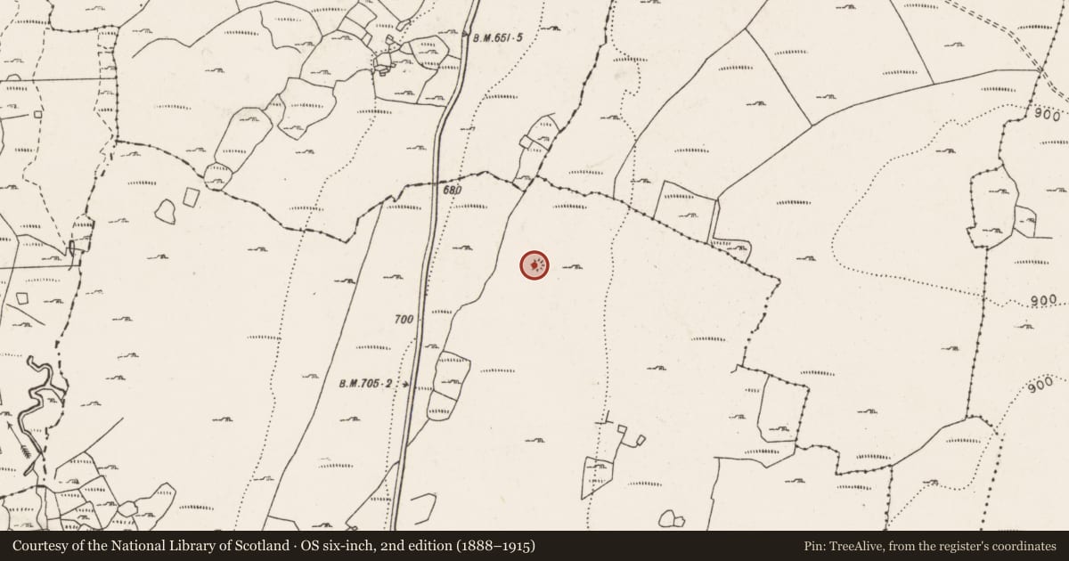 Ordnance Survey six-inch map, 2nd edition (1888–1915) covering the location of Ringfort - cashel, Lislarheenmore, County Clare, with a pin at the register's coordinates